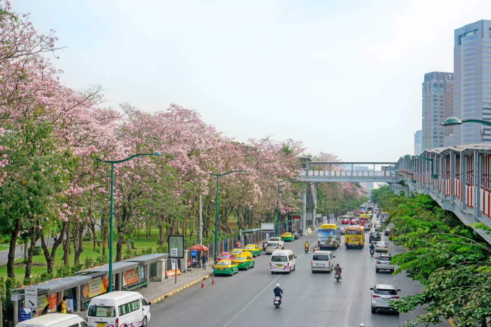 จตุจักร - Chatuchak