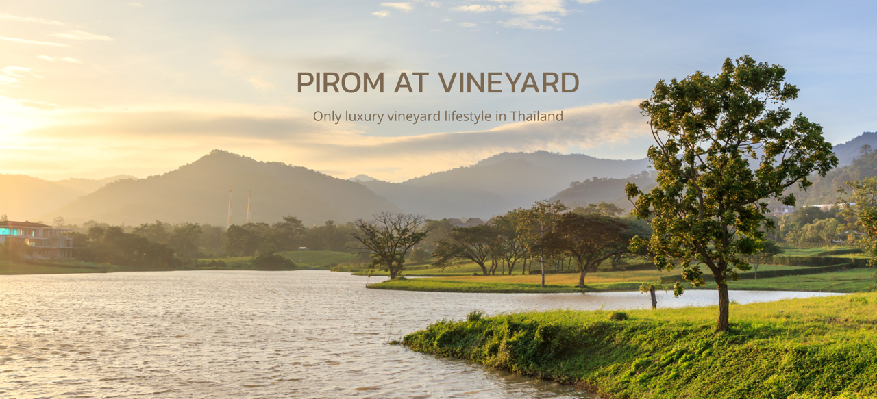 Cover Image-PIROM AT VINEYARD