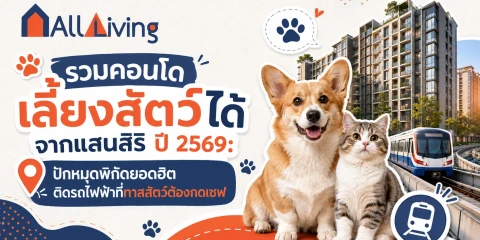 รวมคอนโดเลี้ยงสัตว์ได้จากแสนสิริ ปี 2569 image