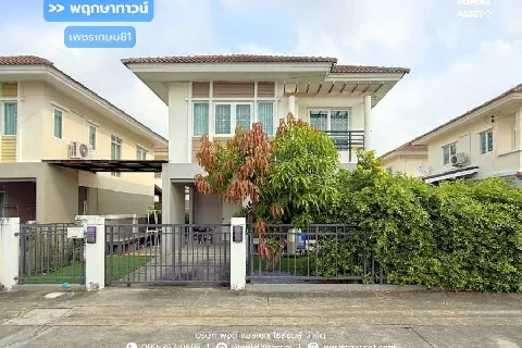 หมู่บ้านพฤกษาทาวน์ เซเรนิตี้ เพชรเกษม81