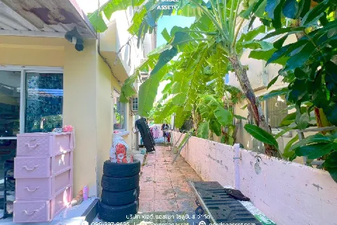 แกลลอรี่ของ บ้านเดี่ยว ศุภาลัยวิลล์ พระราม 2 รูปที่ 15