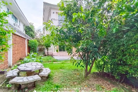 แกลลอรี่ของ ขาย!! บ้านเดี่ยว ชัยพฤกษ์ รังสิต-คลอง4 รูปที่ 17