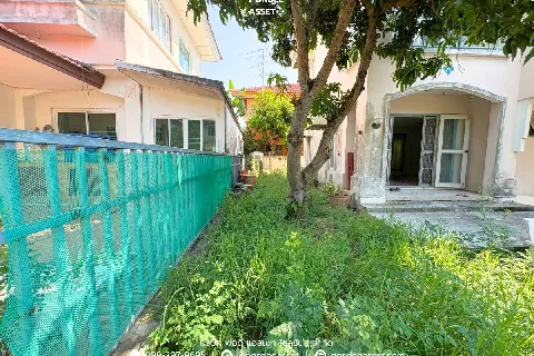 แกลลอรี่ของ ชัยพฤกษ์ บางบัวทอง รูปที่ 19