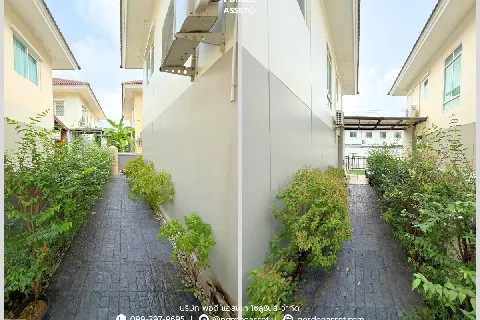 แกลลอรี่ของ หมู่บ้านพฤกษาทาวน์ เซเรนิตี้ เพชรเกษม81 รูปที่ 19
