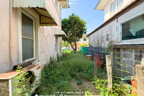 แกลลอรี่ของ ชัยพฤกษ์ บางบัวทอง รูปที่ 21