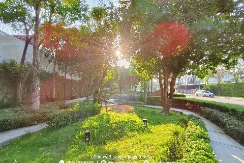 ทาวน์โฮม พลีโน่ พหลโยธิน54/1's gallery image at 20