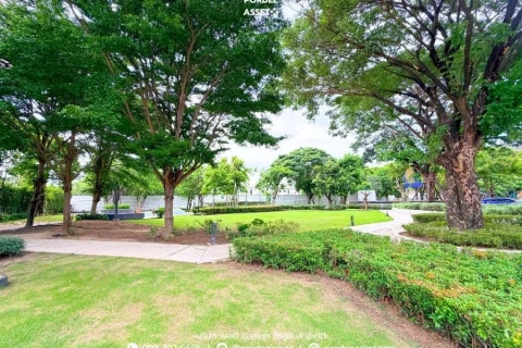 บ้านเดี่ยว 2 ชั้น เซนโทร วงแหวน-จตุโชติ's gallery image at 24