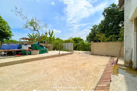 บ้านเดี่ยว 4 ชั้น พุทธมณฑลสาย2 的画廊图 26