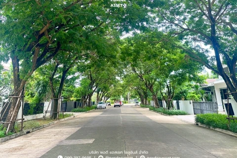 แกลลอรี่ของ มัณฑนา วงแหวน–บางบอน รูปที่ 36