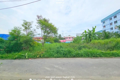 ที่ดินเปล่า 84 ตร.ว. แปลงสวย ซอยเพชรเกษม87 的画廊图 3