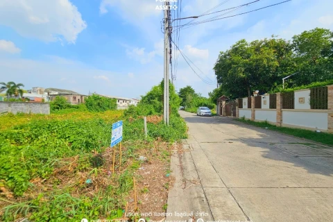 ขาย!! ที่ดินเปล่า ซอยบางกรวย-ไทรน้อย32 (ขนาด 99 ตร.ว.) เดินทางสะดวก's gallery image at 5