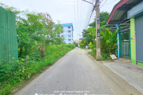 ที่ดินเปล่า 84 ตร.ว. แปลงสวย ซอยเพชรเกษม87 的画廊图 5