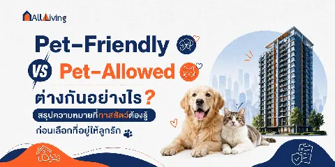 คอนโด Pet-Friendly vs Pet-Allow ต่างกันอย่างไร? image
