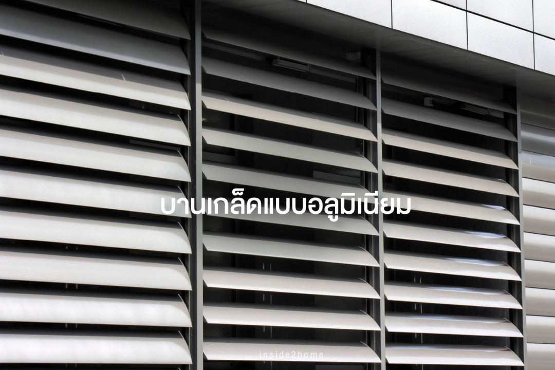ทึบแสง น้ำหนักเบา และส่วนใหญ่จะเป็นบานตา
